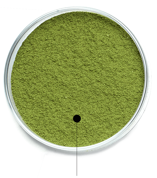 Botanéa Plantaardige Haarkleuring | L'Oréal Professionnel