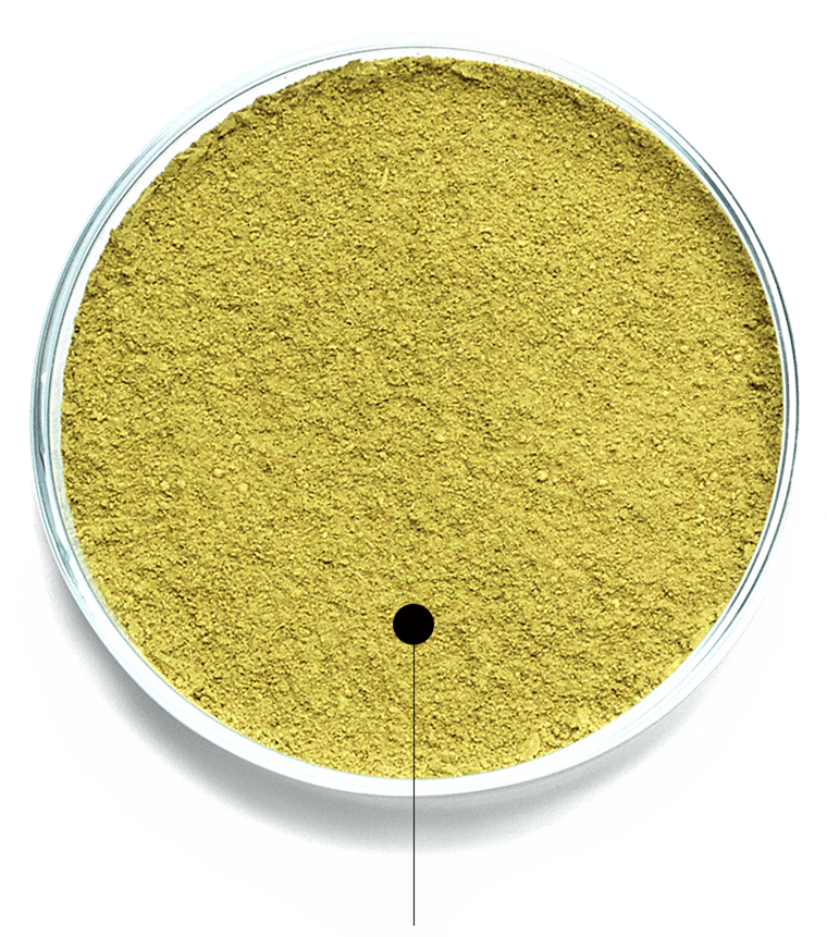 Botanéa Plantaardige Haarkleuring | L'Oréal Professionnel