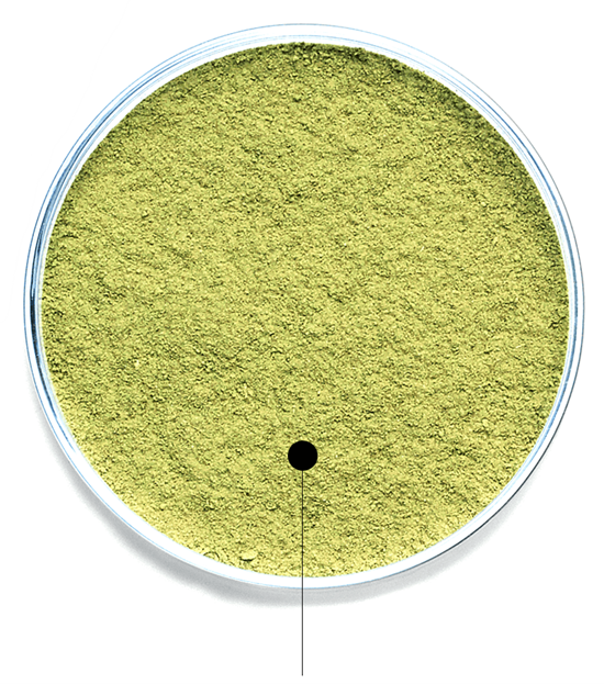 Botanéa Plantaardige Haarkleuring | L'Oréal Professionnel